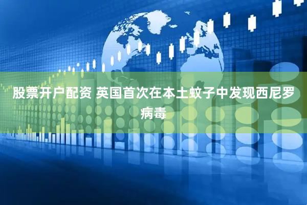 股票开户配资 英国首次在本土蚊子中发现西尼罗病毒
